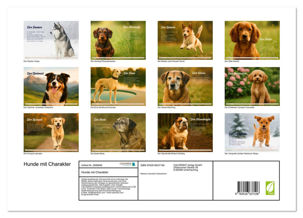 Hunde mit Charakter (CALVENDO Premium Wandkalender 2026)