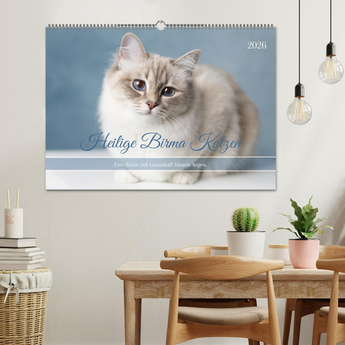 Heilige Birma Katzen - Eine Rasse mit traumhaft blauen Augen. (CALVENDO Wandkalender 2026)