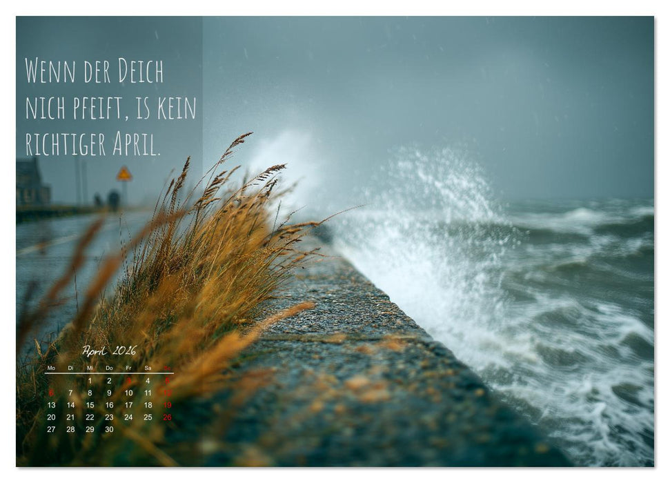 Moin Moin ist schon gesabbel - Norddeutscher Sprüche-Kalender (CALVENDO Wandkalender 2026)