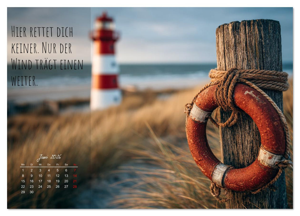 Moin Moin ist schon gesabbel - Norddeutscher Sprüche-Kalender (CALVENDO Wandkalender 2026)