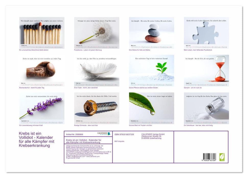 Krebs ist ein Vollidiot - Kalender für alle Kämpfer mit Krebserkrankung (CALVENDO Wandkalender 2026)