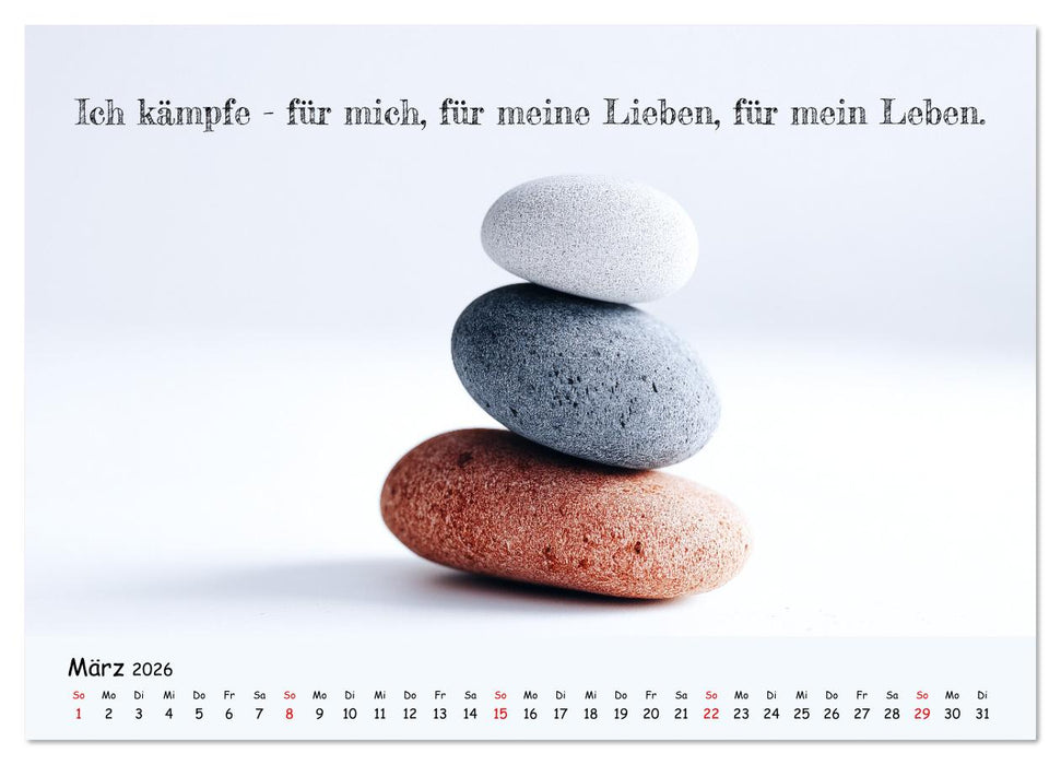 Krebs ist ein Vollidiot - Kalender für alle Kämpfer mit Krebserkrankung (CALVENDO Wandkalender 2026)