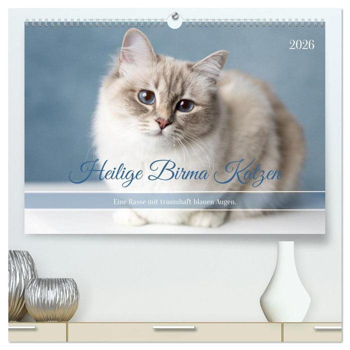 Heilige Birma Katzen - Eine Rasse mit traumhaft blauen Augen. (CALVENDO Premium Wandkalender 2026)