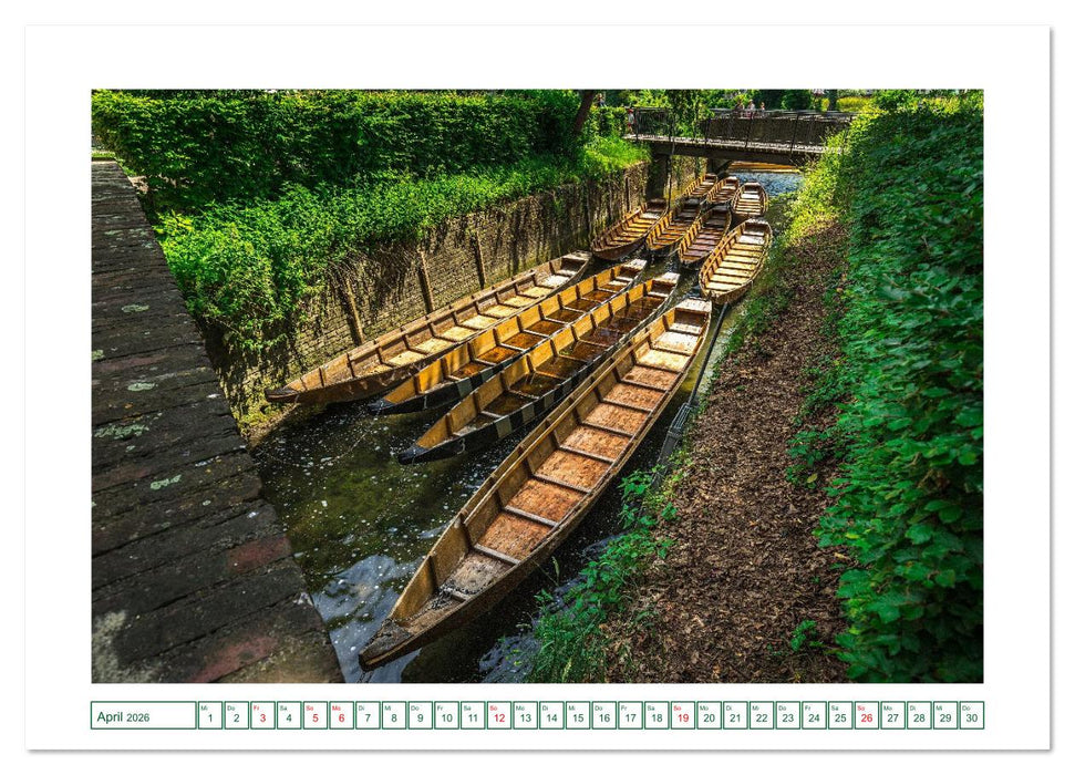 Ulm - Hübsche Großstadt an der Donau (CALVENDO Premium Wandkalender 2026)