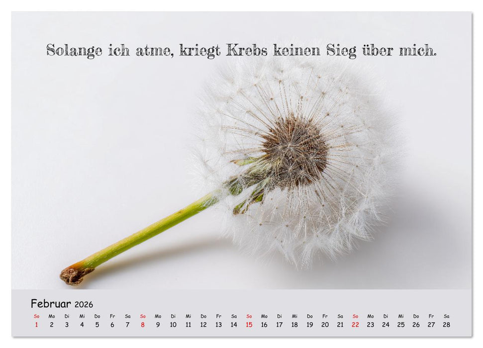 Krebs ist ein Vollidiot - Kalender für alle Kämpfer mit Krebserkrankung (CALVENDO Premium Wandkalender 2026)