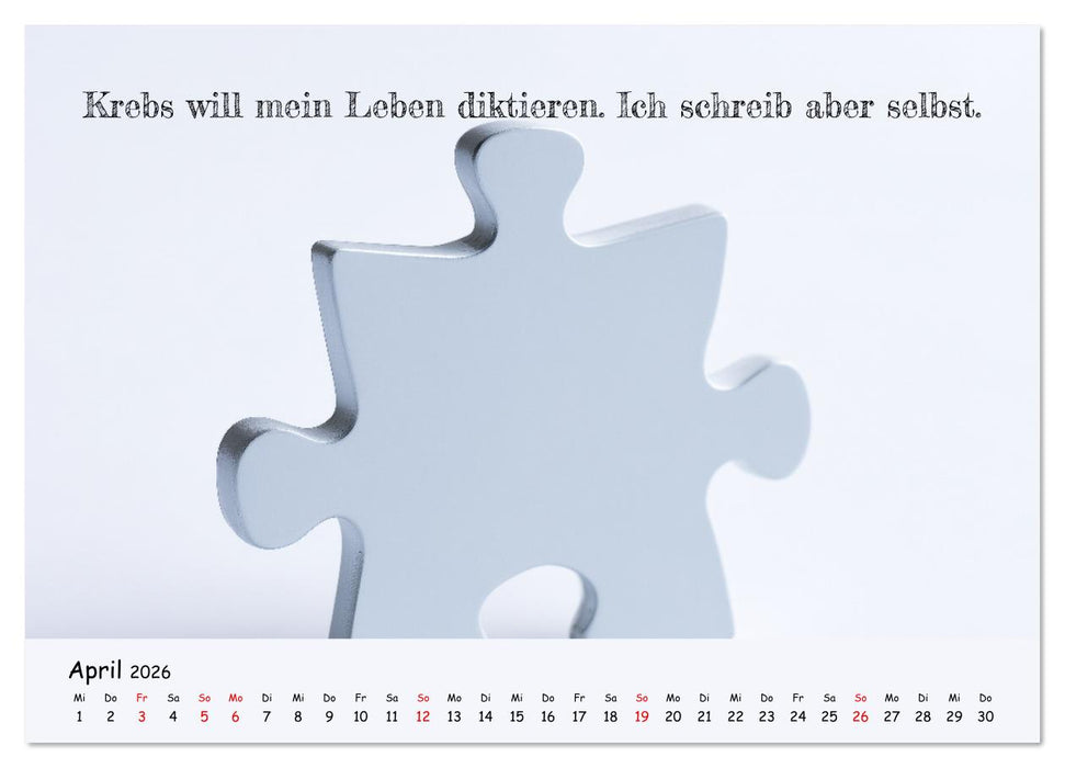 Krebs ist ein Vollidiot - Kalender für alle Kämpfer mit Krebserkrankung (CALVENDO Premium Wandkalender 2026)