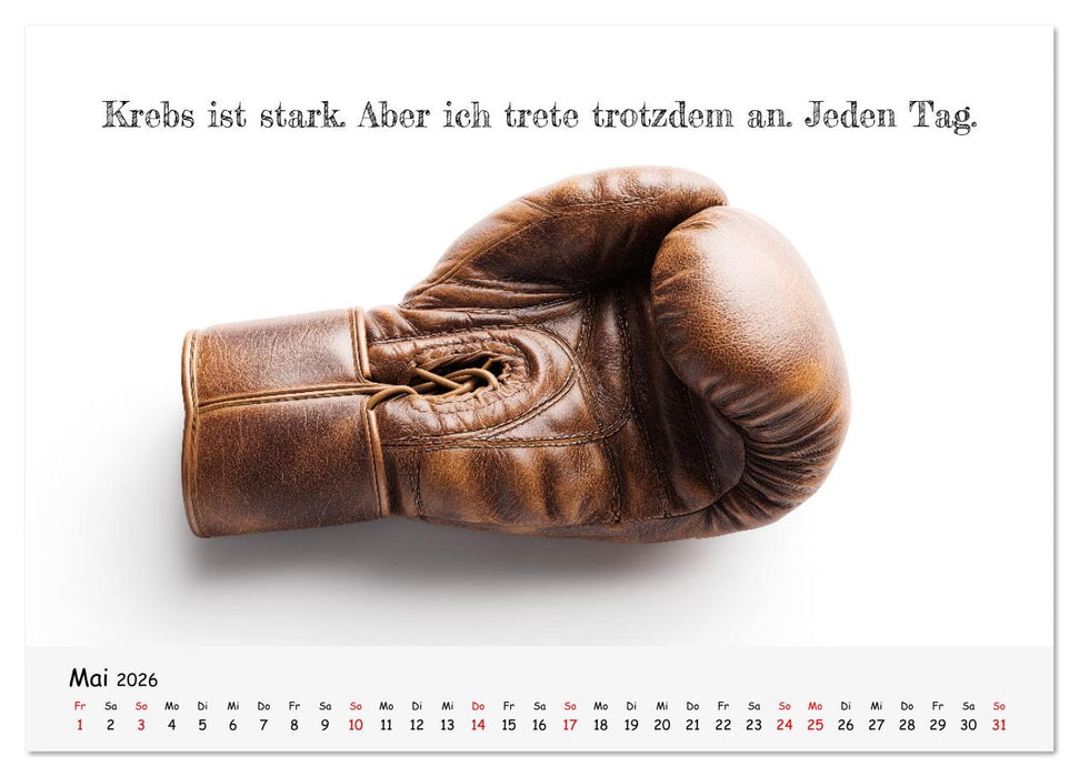 Krebs ist ein Vollidiot - Kalender für alle Kämpfer mit Krebserkrankung (CALVENDO Premium Wandkalender 2026)