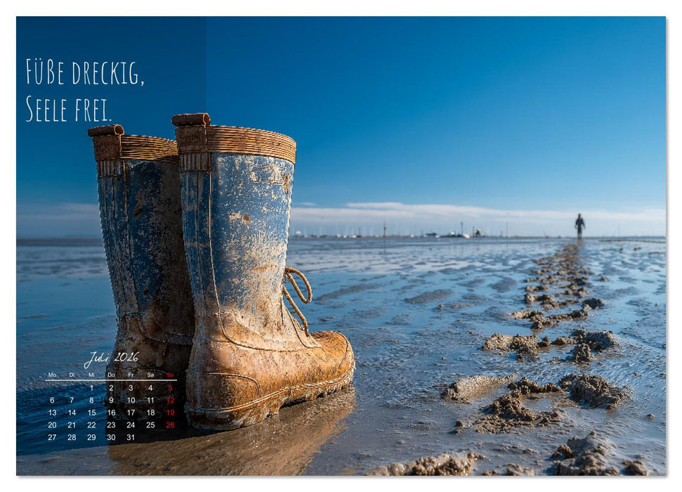 Moin Moin ist schon gesabbel - Norddeutscher Sprüche-Kalender (CALVENDO Premium Wandkalender 2026)