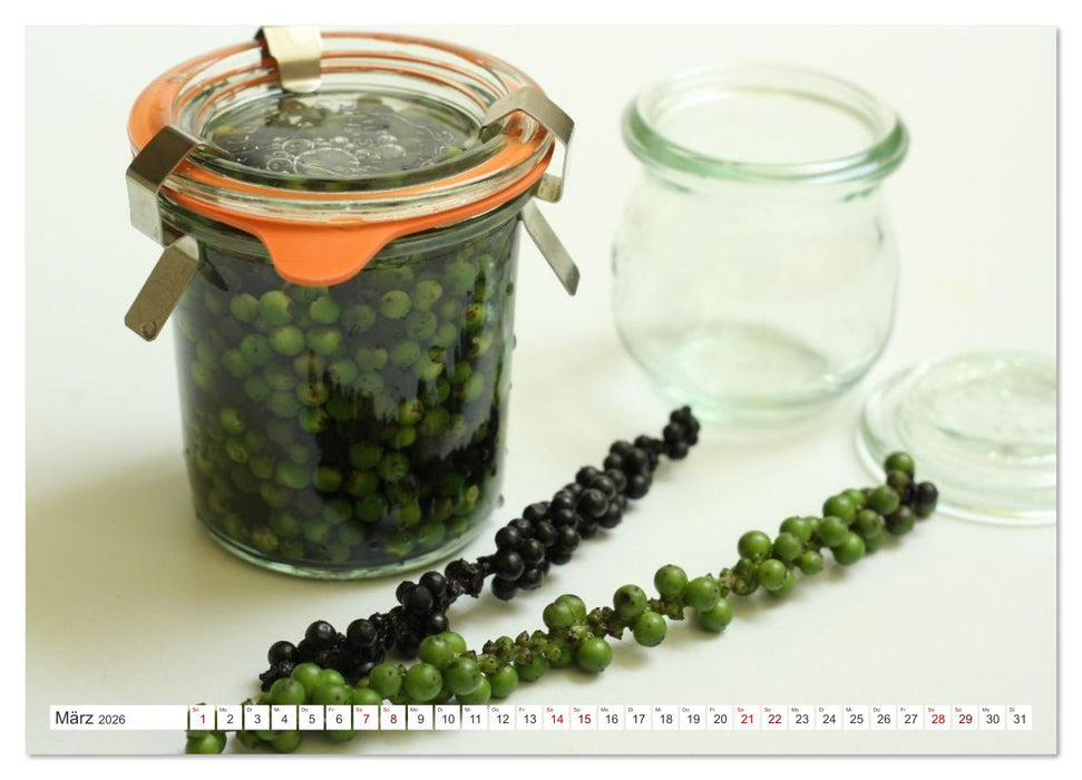 Fermentiertes Gemüse (CALVENDO Premium Wandkalender 2026)