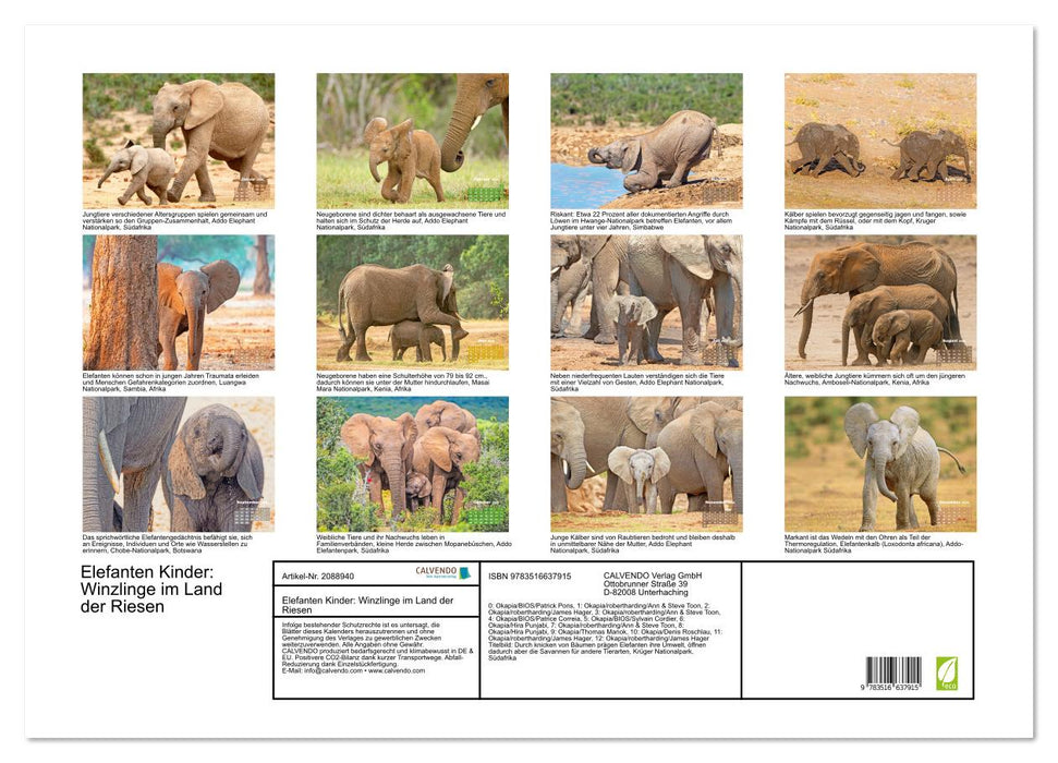 Elefanten Kinder: Winzlinge im Land der Riesen (CALVENDO Wandkalender 2026)