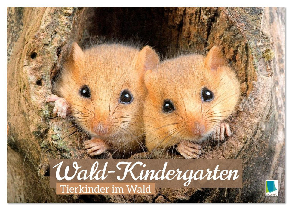 Wald-Kindergarten: Tierkinder im Wald (CALVENDO Wandkalender 2026)