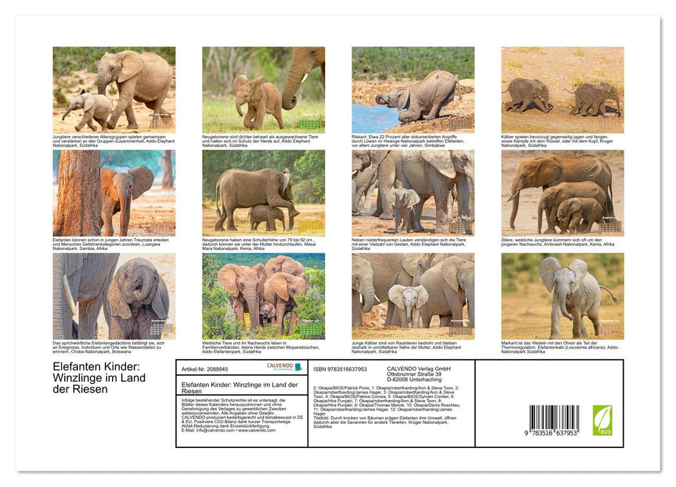 Elefanten Kinder: Winzlinge im Land der Riesen (CALVENDO Premium Wandkalender 2026)