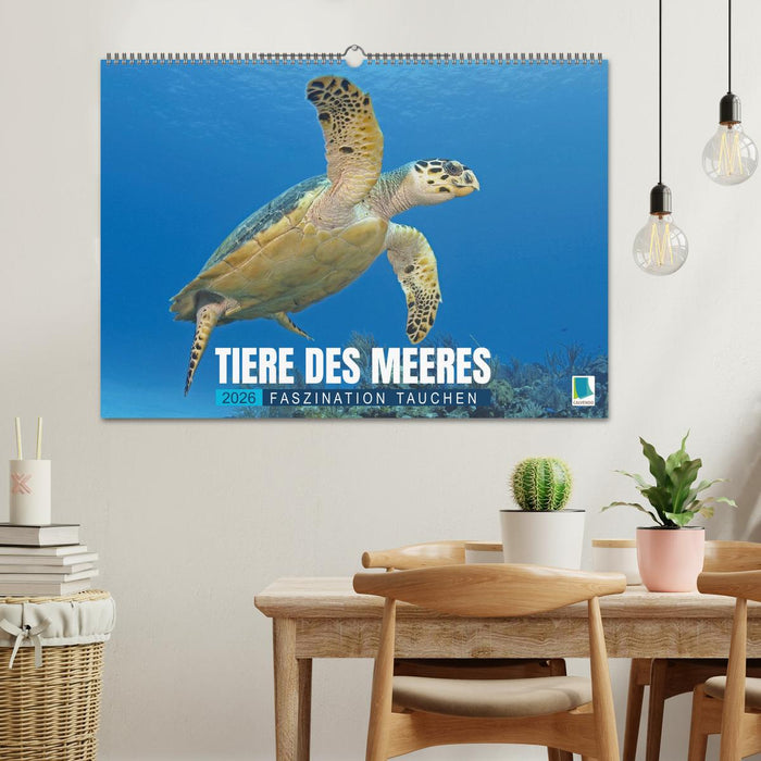 Tiere des Meeres: Faszination Tauchen (CALVENDO Wandkalender 2026)