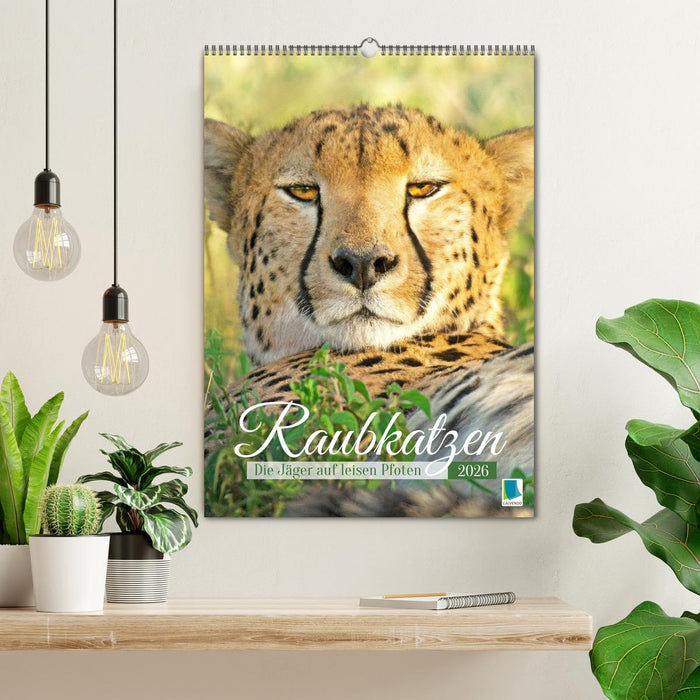 Raubkatzen: Die Jäger auf leisen Pfoten (CALVENDO Wandkalender 2026)