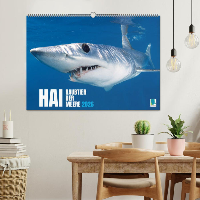 Hai: Raubtier der Meere (CALVENDO Wandkalender 2026)