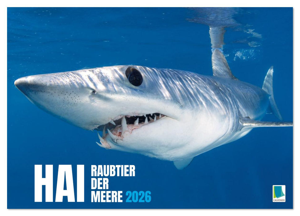 Hai: Raubtier der Meere (CALVENDO Wandkalender 2026)
