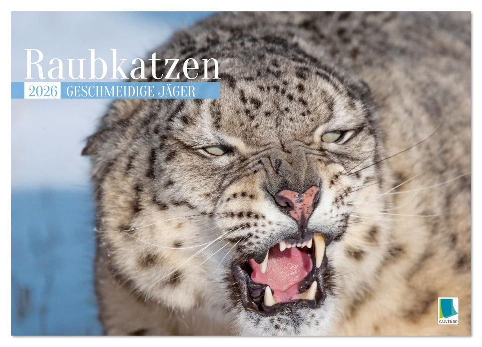 Raubkatzen: Geschmeidige Jäger (CALVENDO Wandkalender 2026)