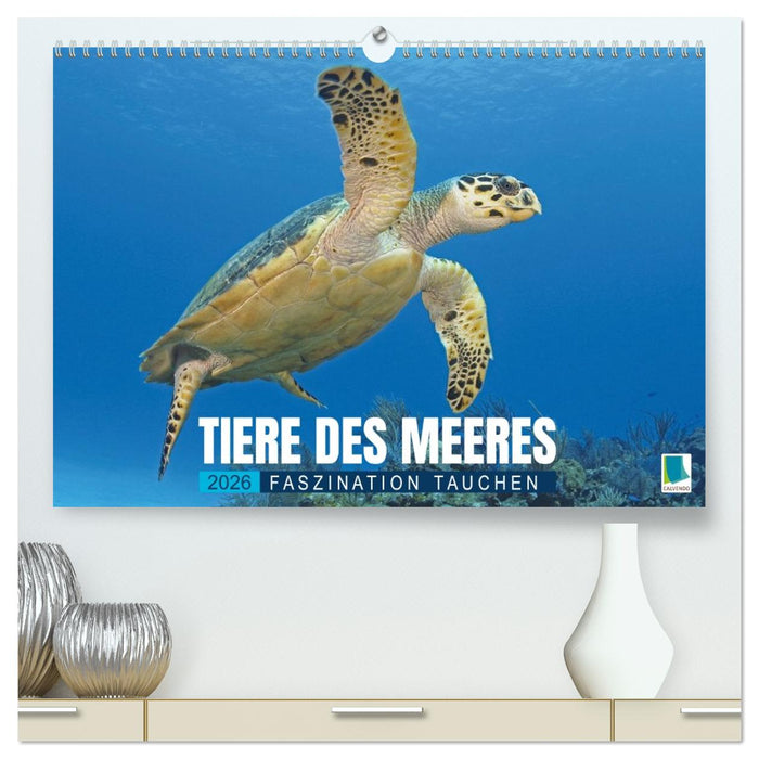 Tiere des Meeres: Faszination Tauchen (CALVENDO Premium Wandkalender 2026)