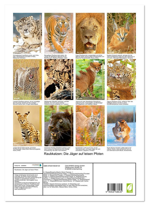 Raubkatzen: Die Jäger auf leisen Pfoten (CALVENDO Premium Wandkalender 2026)