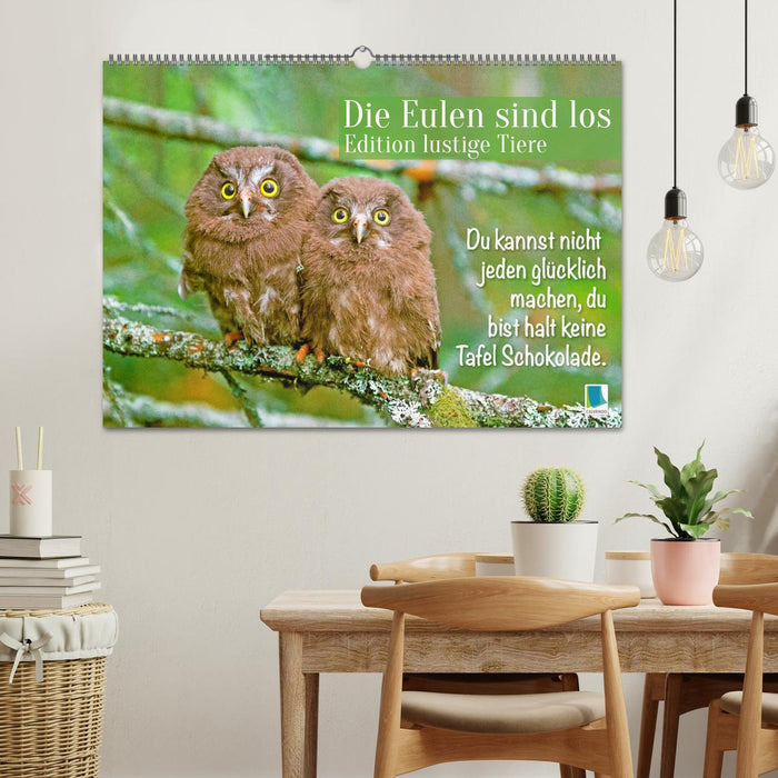 Die Eulen sind los: Edition lustige Tiere (CALVENDO Wandkalender 2026)