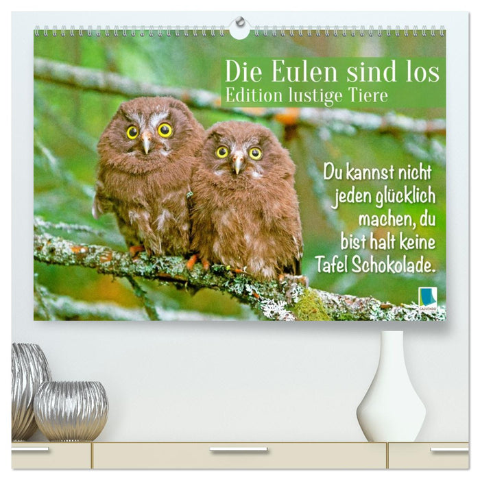 Die Eulen sind los: Edition lustige Tiere (CALVENDO Premium Wandkalender 2026)