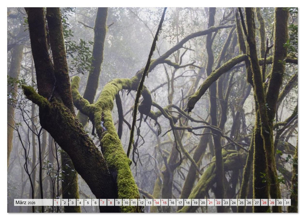 Die Kanaren – Faszinierende Inseln im Atlantik (CALVENDO Wandkalender 2026)