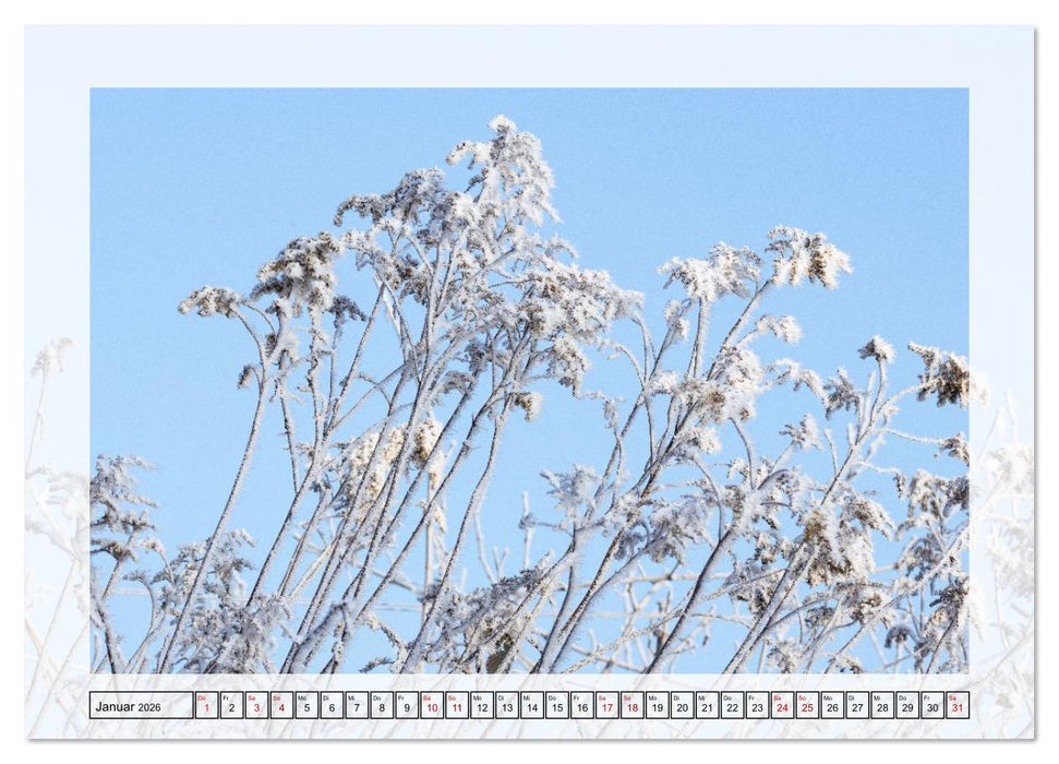 Jeden Monat in der Natur (CALVENDO Wandkalender 2026)