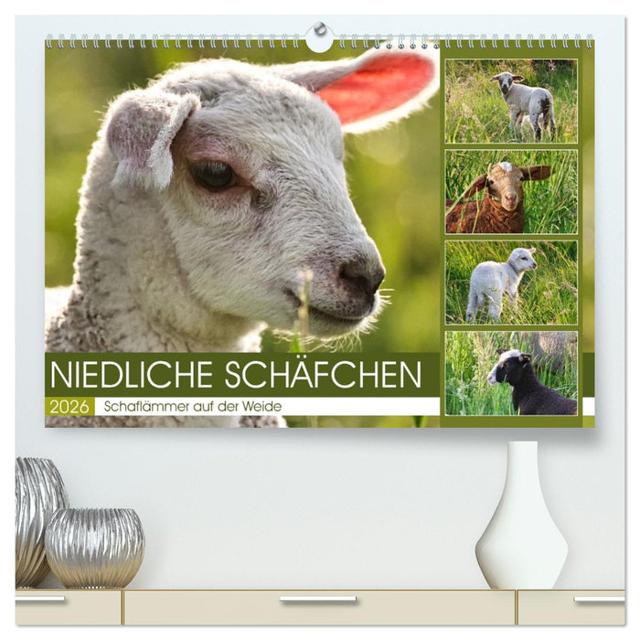 Niedliche Schäfchen (CALVENDO Premium Wandkalender 2026)