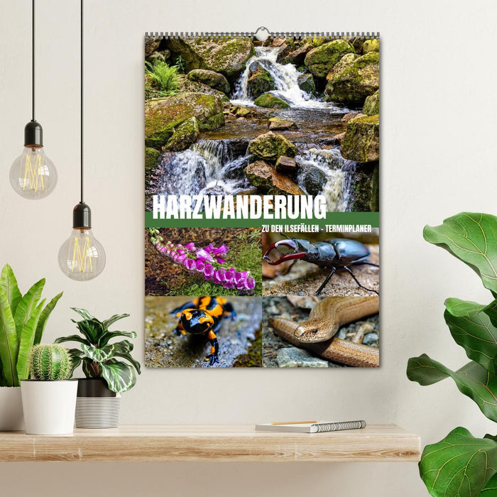 Harzwanderung zu den Ilsefällen - Terminplaner (CALVENDO Wandkalender 2026)