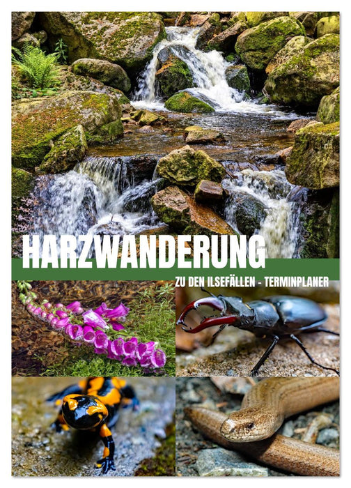 Harzwanderung zu den Ilsefällen - Terminplaner (CALVENDO Wandkalender 2026)