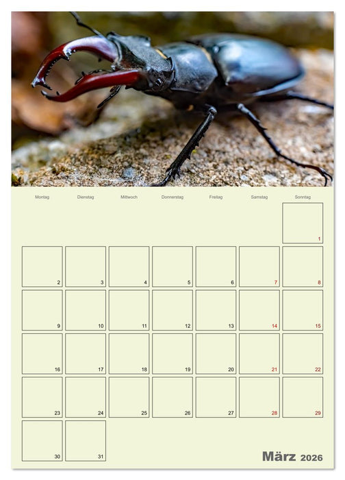 Harzwanderung zu den Ilsefällen - Terminplaner (CALVENDO Premium Wandkalender 2026)