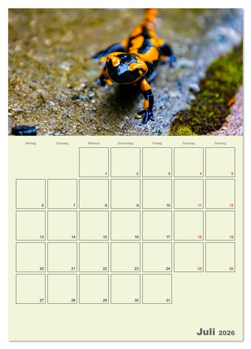 Harzwanderung zu den Ilsefällen - Terminplaner (CALVENDO Premium Wandkalender 2026)