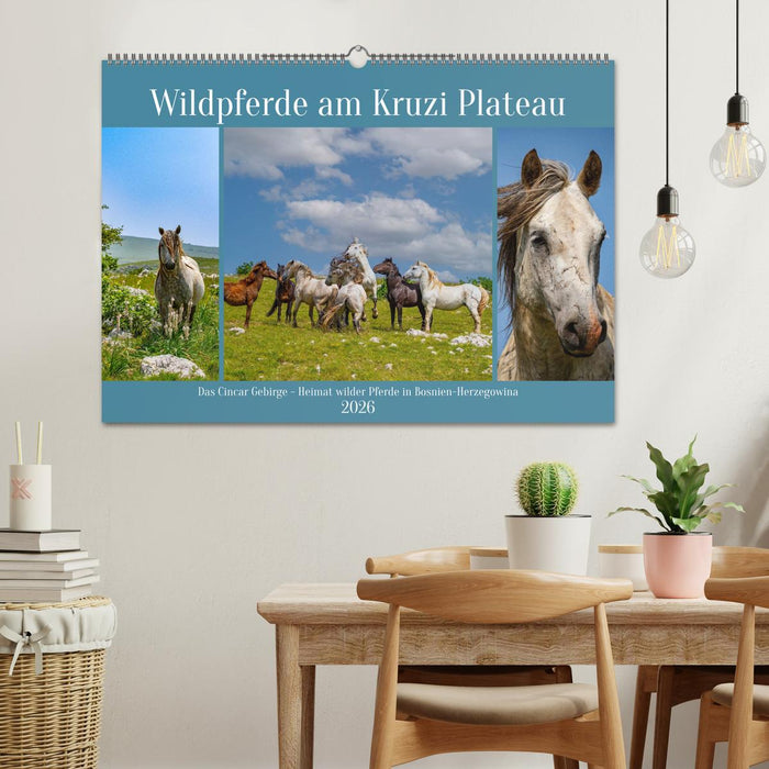 Wildpferde am Kruzi Plateau (CALVENDO Wandkalender 2026)