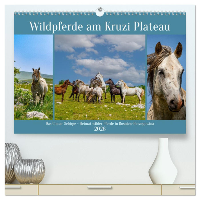 Wildpferde am Kruzi Plateau (CALVENDO Premium Wandkalender 2026)
