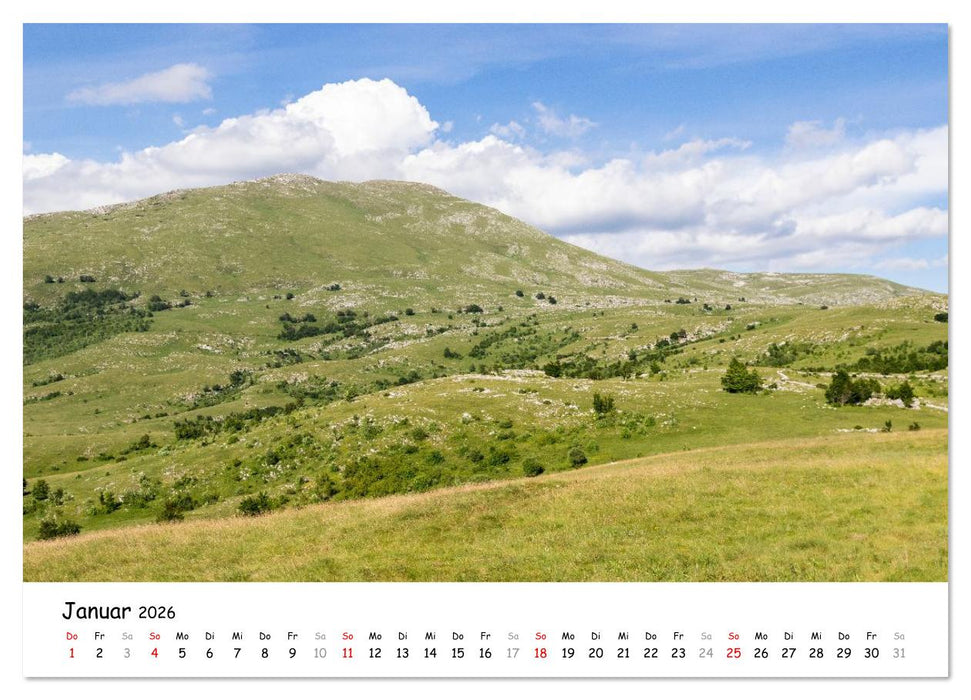 Wildpferde am Kruzi Plateau (CALVENDO Premium Wandkalender 2026)