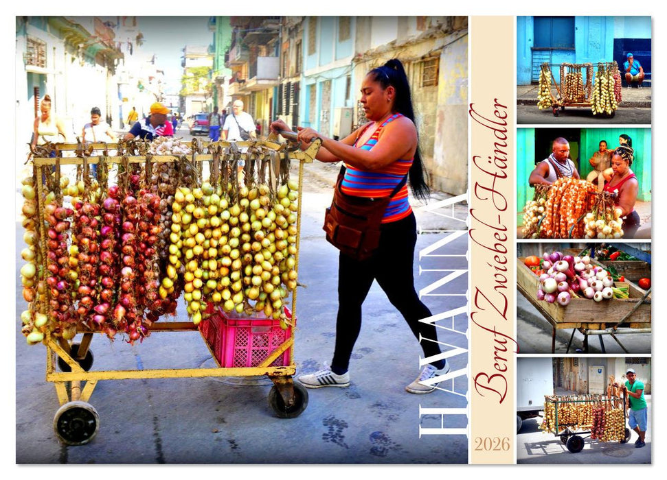 HAVANNA - Beruf Zwiebel-Händler (CALVENDO Wandkalender 2026)