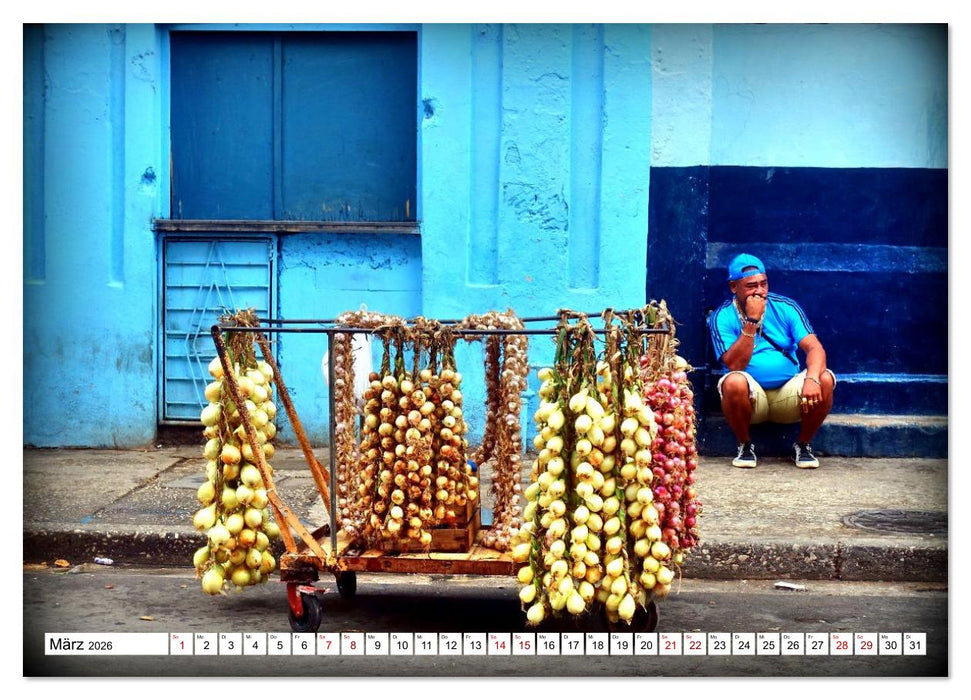 HAVANNA - Beruf Zwiebel-Händler (CALVENDO Wandkalender 2026)