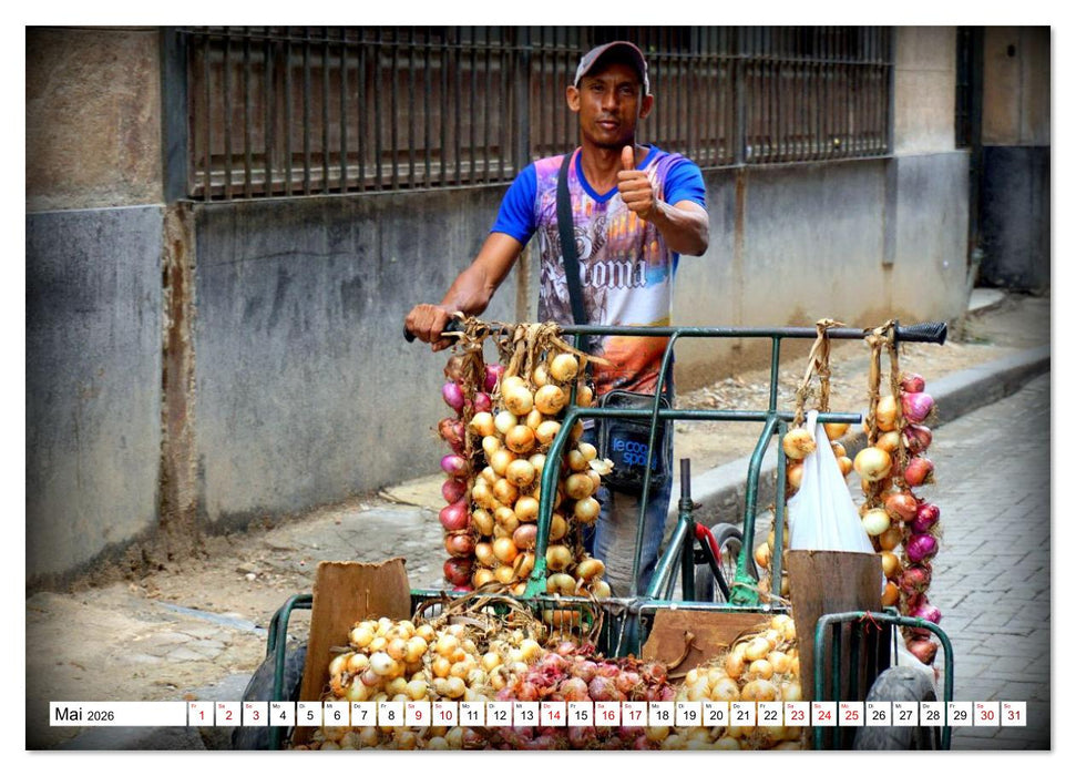 HAVANNA - Beruf Zwiebel-Händler (CALVENDO Wandkalender 2026)