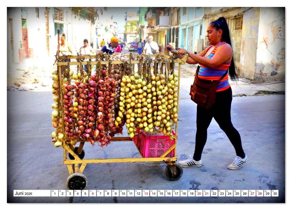 HAVANNA - Beruf Zwiebel-Händler (CALVENDO Wandkalender 2026)