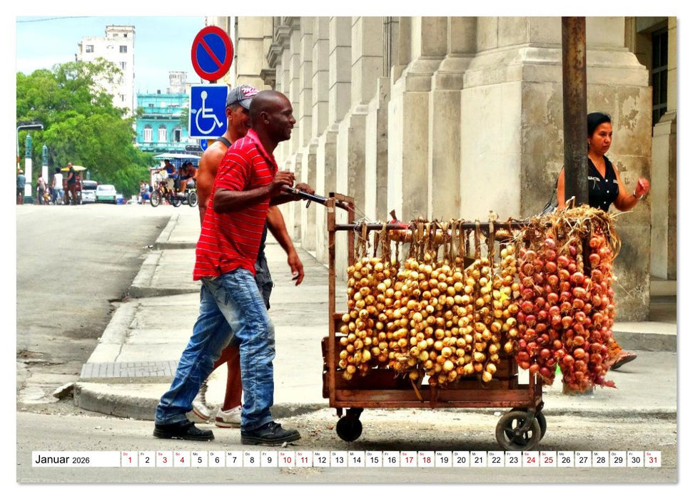 HAVANNA - Beruf Zwiebel-Händler (CALVENDO Premium Wandkalender 2026)
