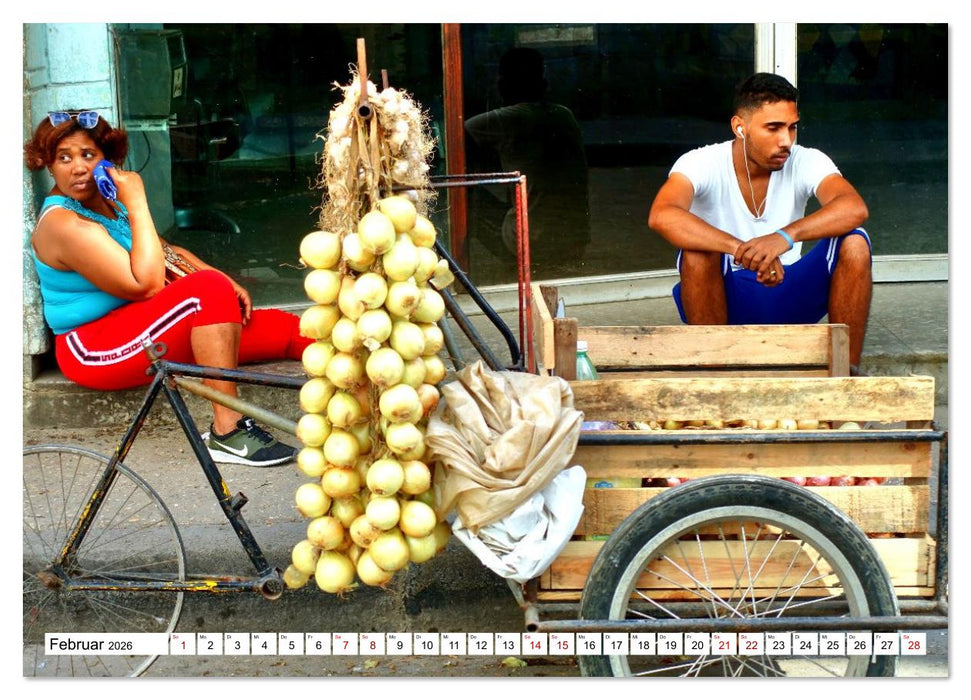 HAVANNA - Beruf Zwiebel-Händler (CALVENDO Premium Wandkalender 2026)