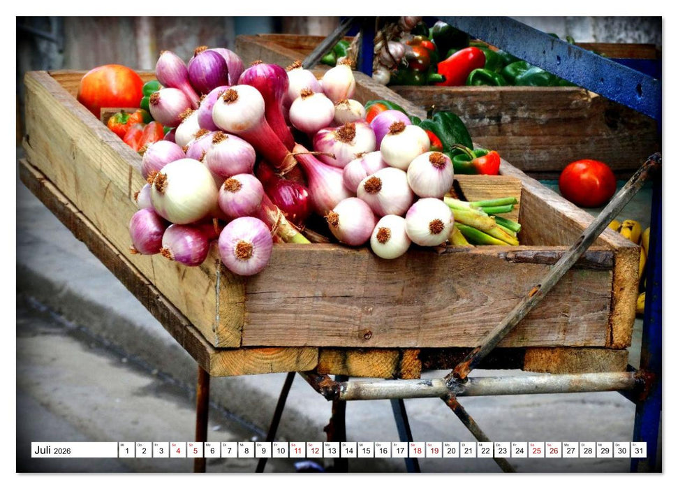 HAVANNA - Beruf Zwiebel-Händler (CALVENDO Premium Wandkalender 2026)