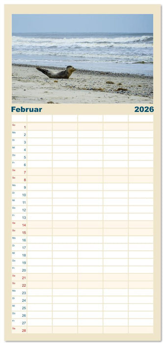 Am Strand von Juist (CALVENDO Familienplaner 2026)