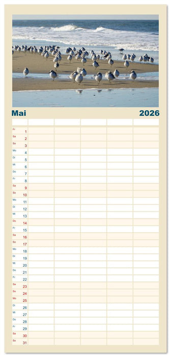 Am Strand von Juist (CALVENDO Familienplaner 2026)