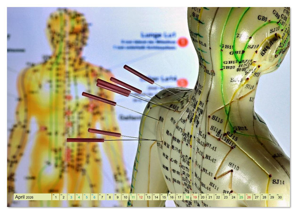 Akupunktur - Im Bann der Nadeln (CALVENDO Wandkalender 2026)