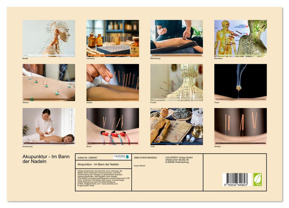 Akupunktur - Im Bann der Nadeln (CALVENDO Premium Wandkalender 2026)