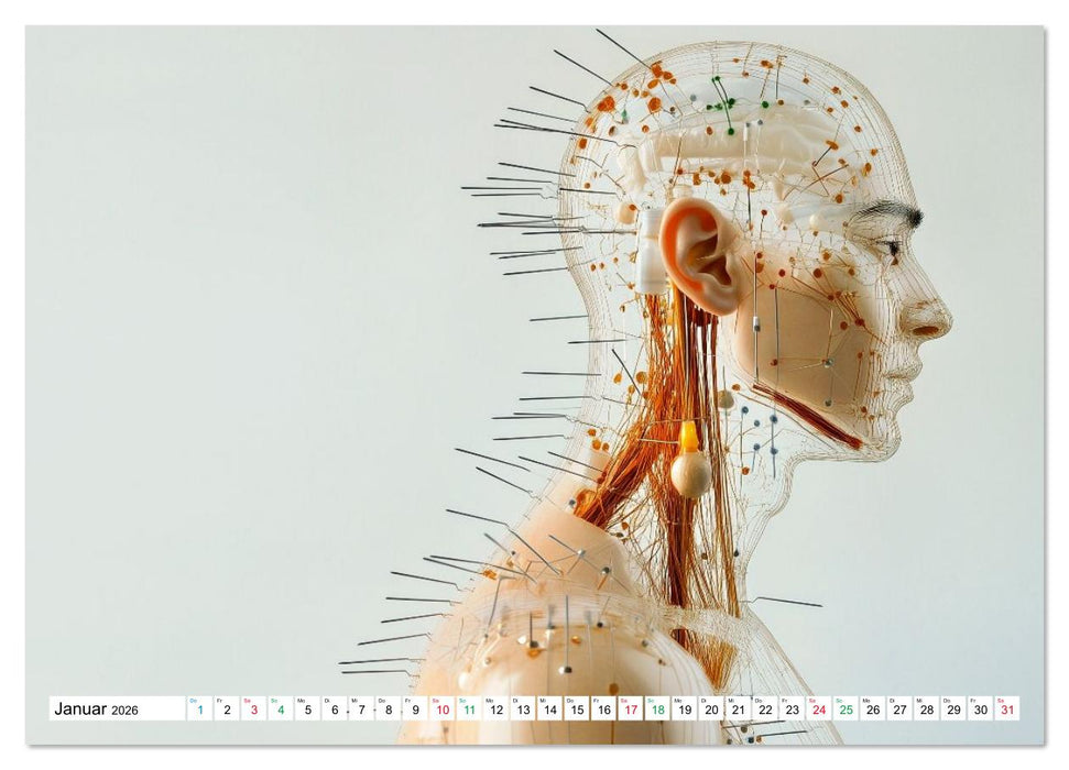 Akupunktur - Im Bann der Nadeln (CALVENDO Premium Wandkalender 2026)
