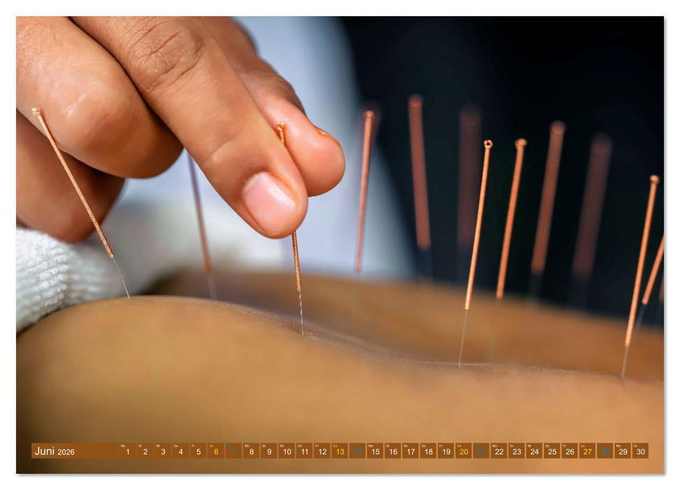 Akupunktur - Im Bann der Nadeln (CALVENDO Premium Wandkalender 2026)