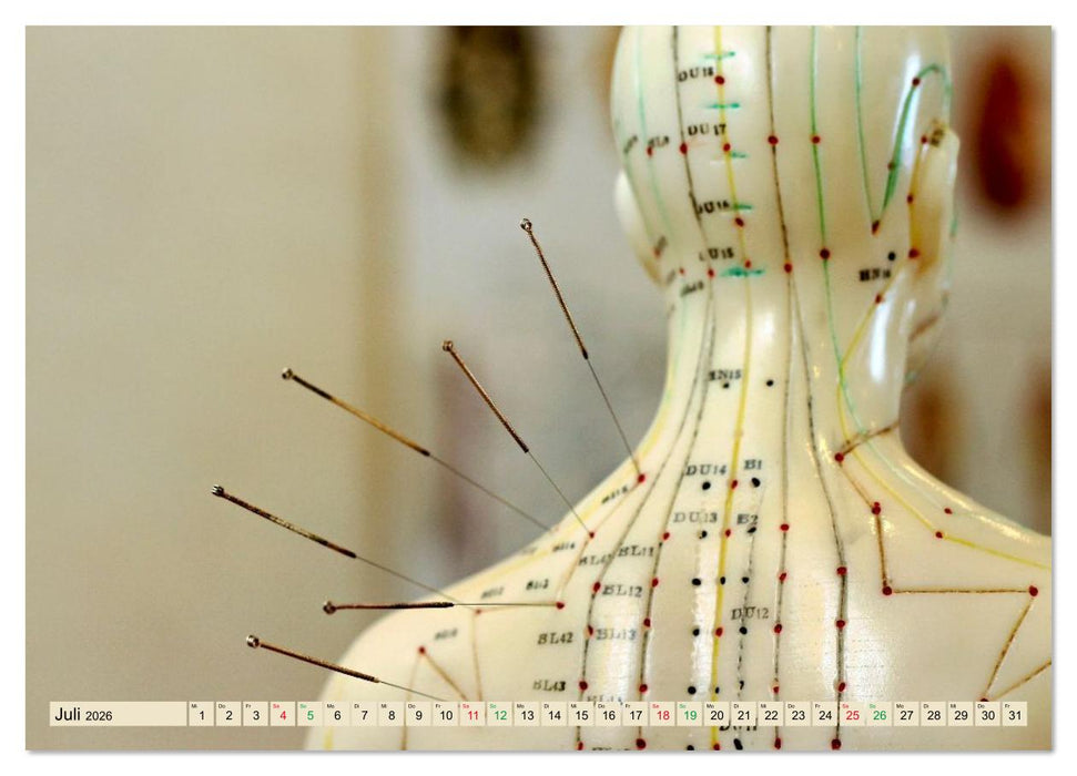 Akupunktur - Im Bann der Nadeln (CALVENDO Premium Wandkalender 2026)