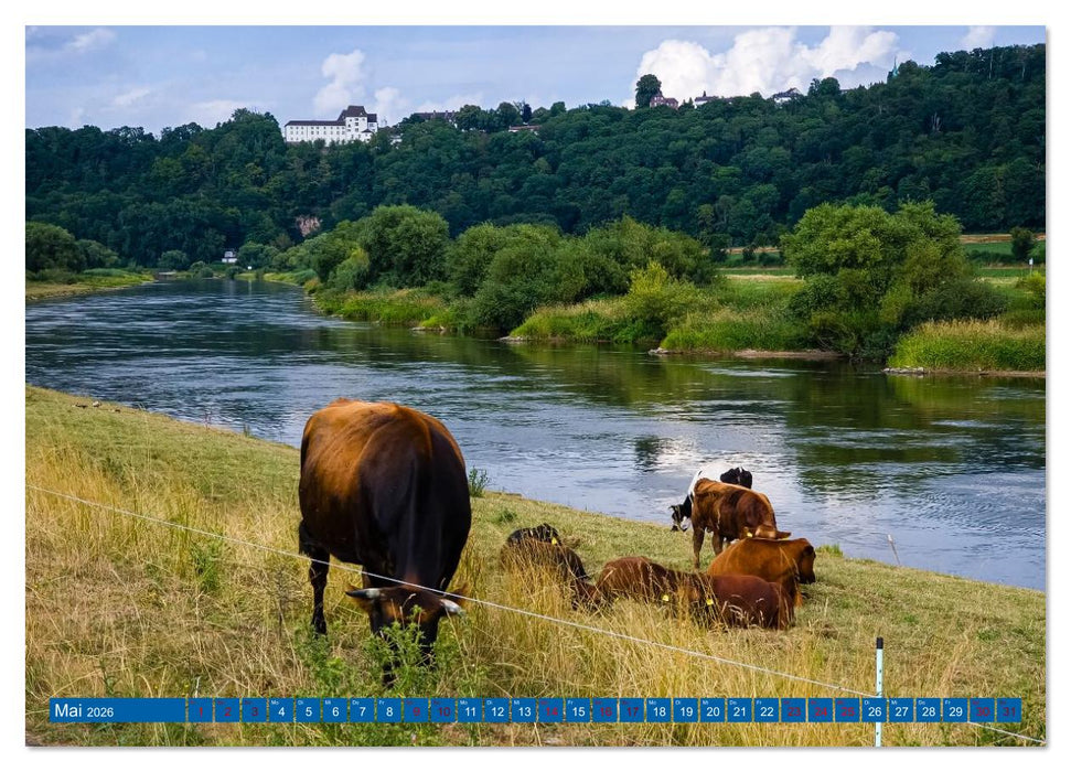 Die Obere Weser - von Bad Karlshafen bis Hameln (CALVENDO Wandkalender 2026)